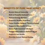 Pure Raw Honey - Image 3