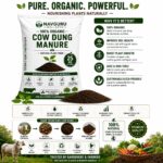 Organic Cow Manure Powder Fertilizer for Fruits & Vegetables Farming - Image 4